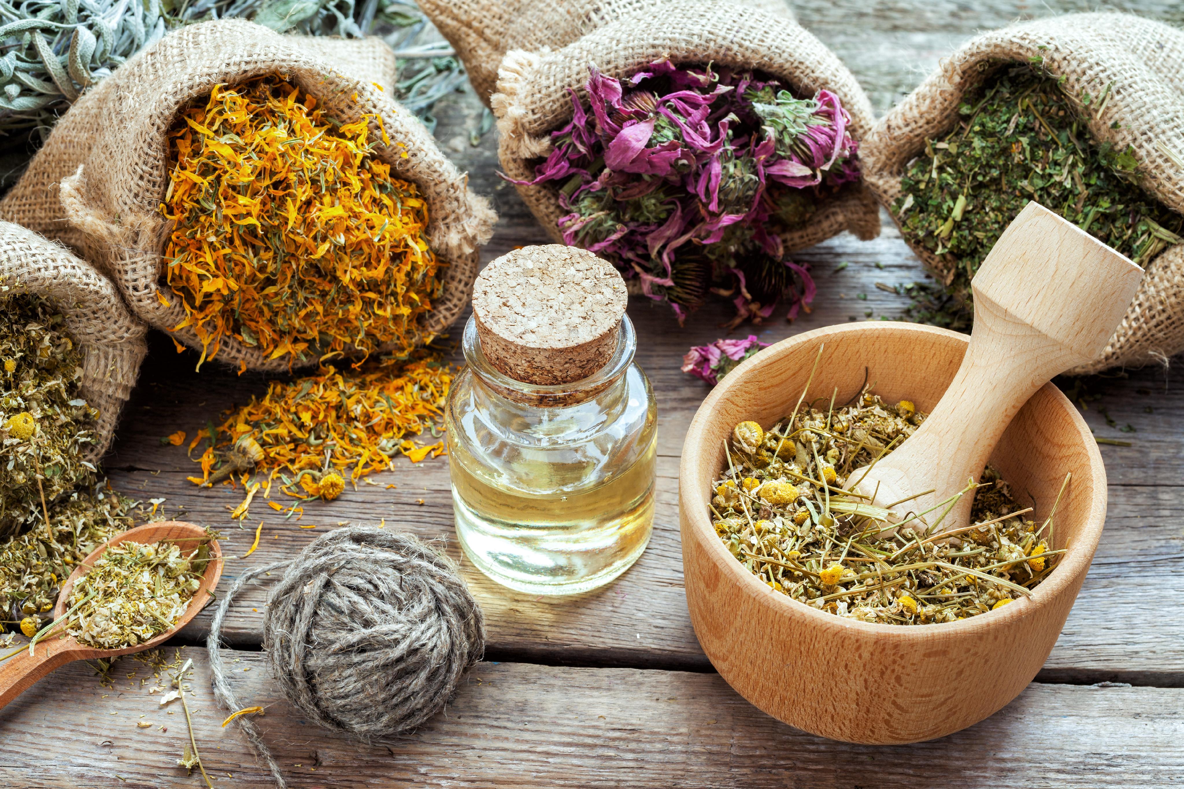 Bào Chế và Ứng Dụng Thảo Dược (Herbalist Level 1)