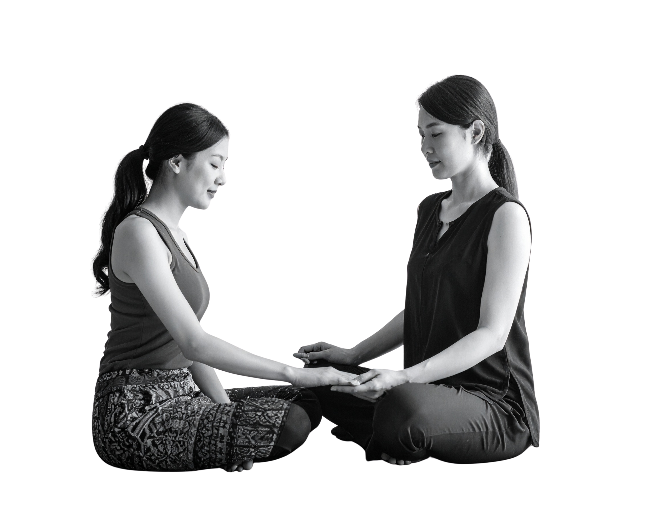 Wellness Coach
