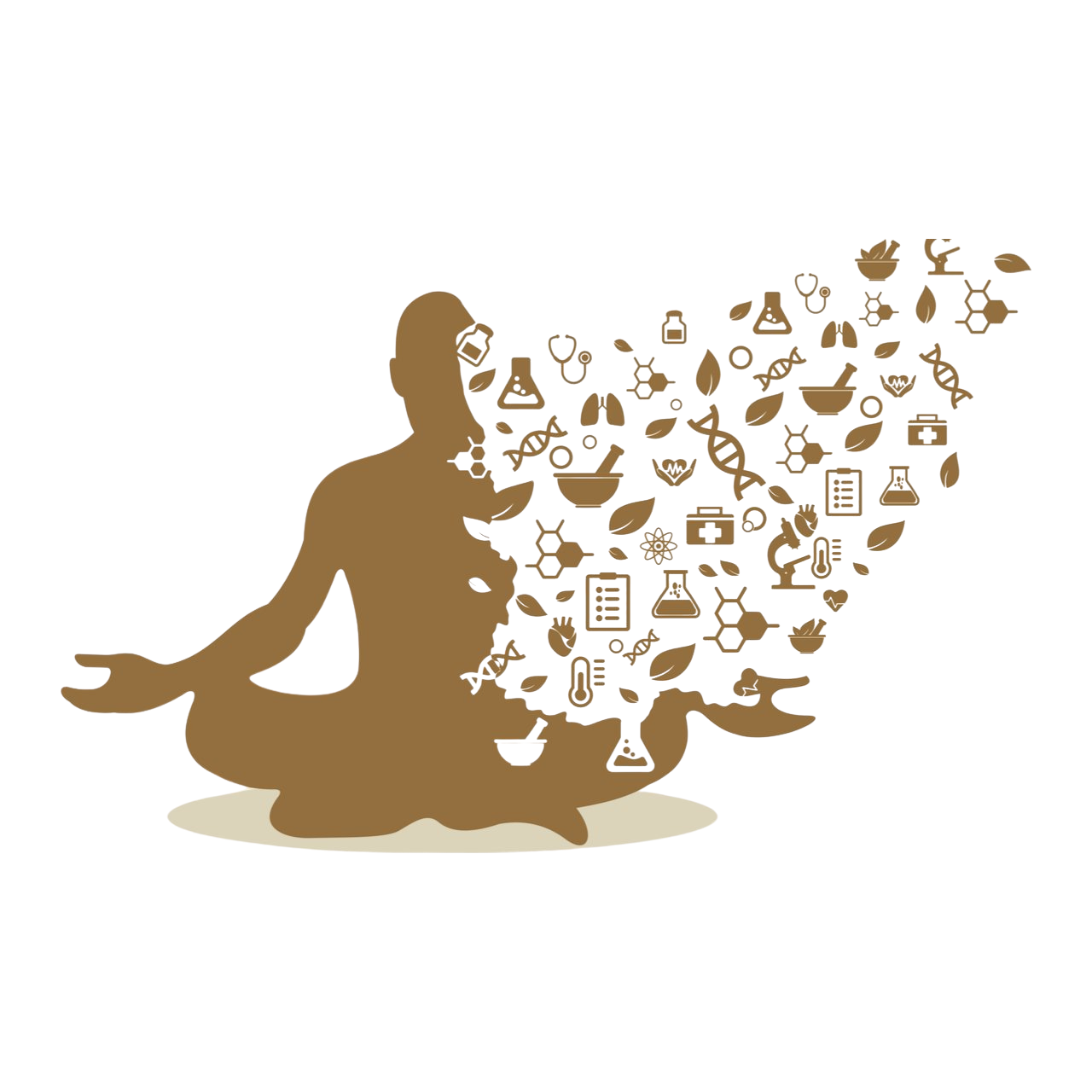 Nhập môn Ayurveda