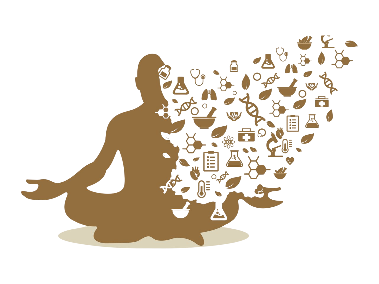 Nhập môn Ayurveda
