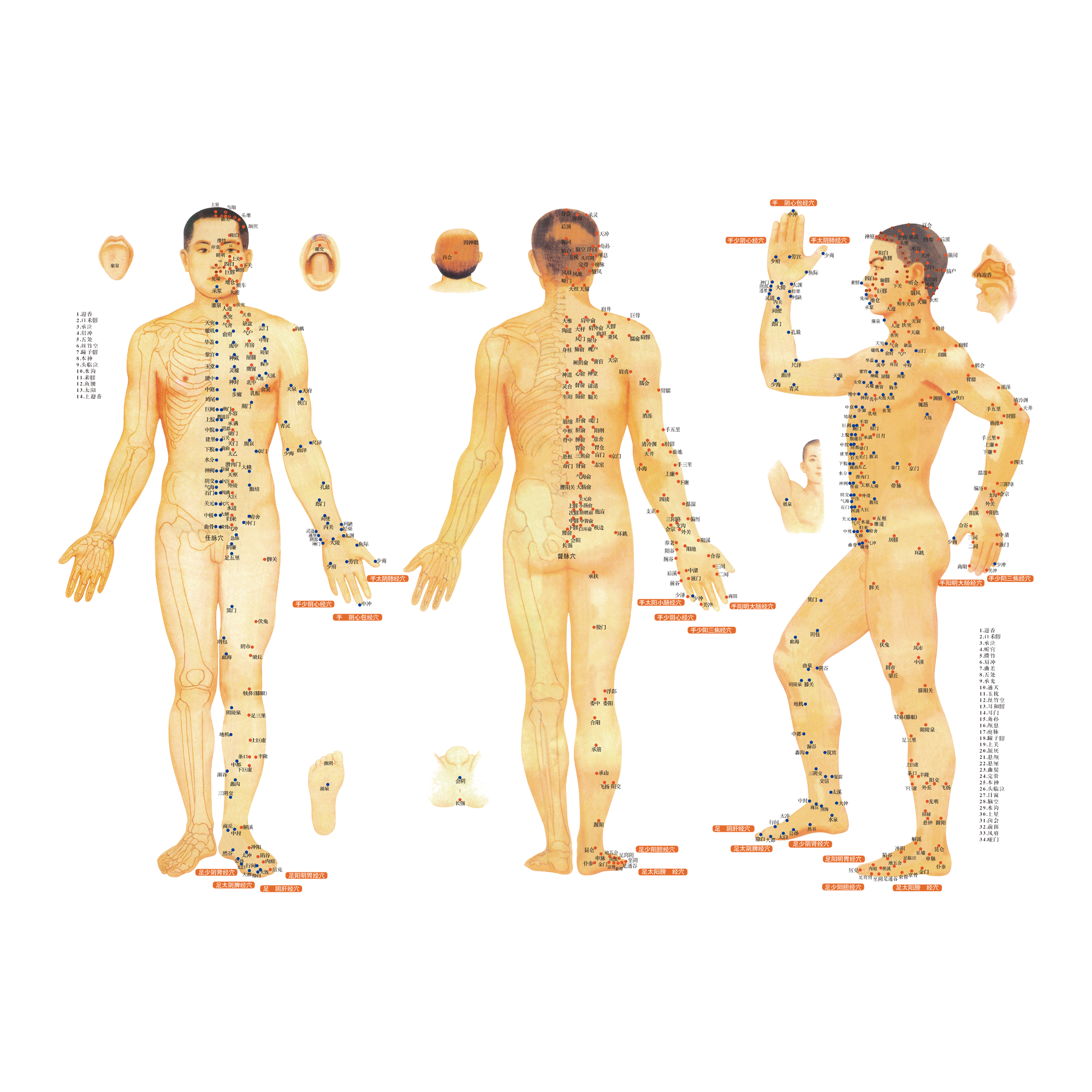 Đông Y